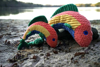 Rauccous Rainbow Trout Knottie® Plush Dog Toy - BIG FRENCHIES