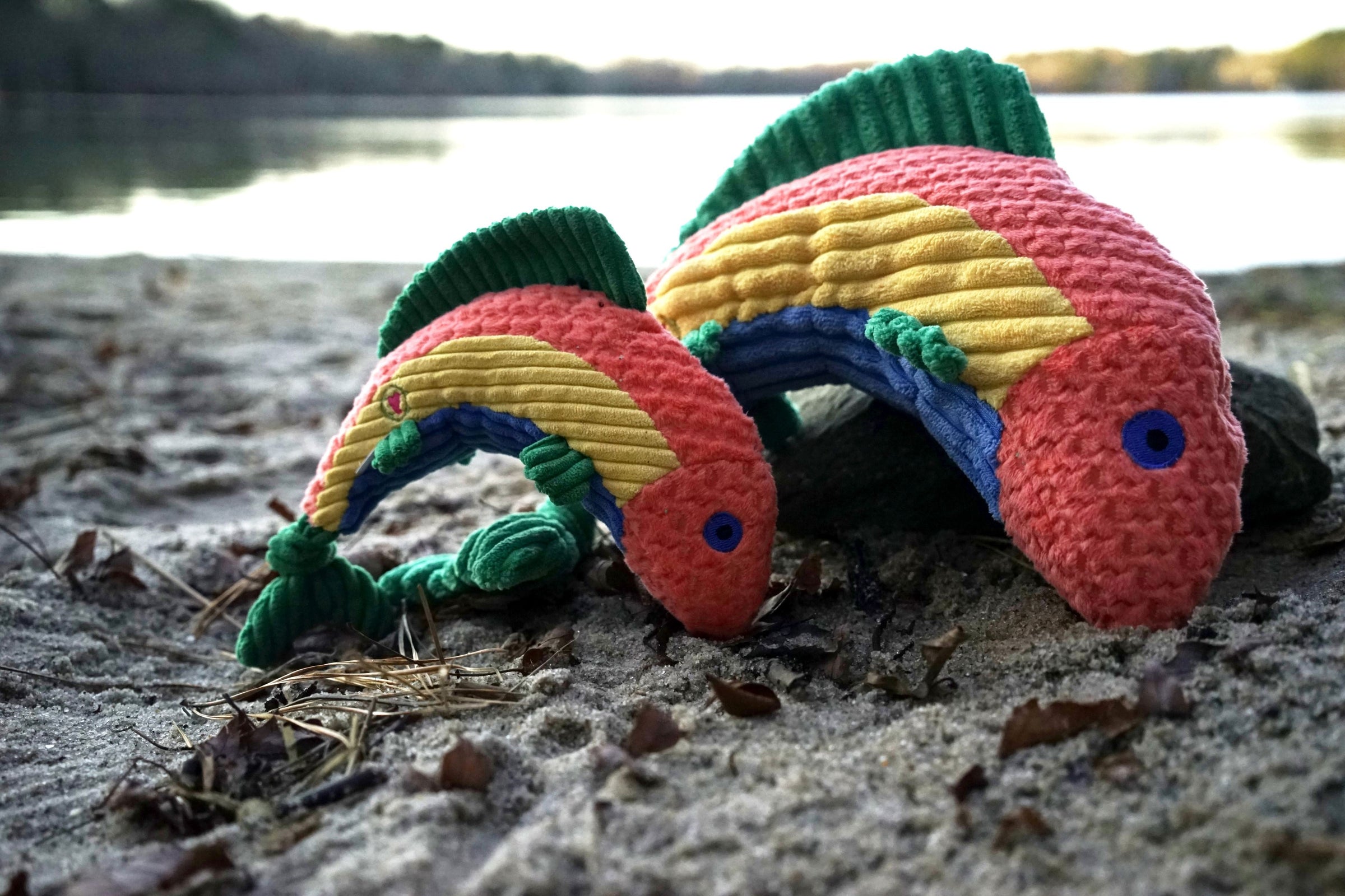 Rauccous Rainbow Trout Knottie® Plush Dog Toy - BIG FRENCHIES