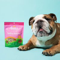 Ava's Pet Palace Freeze Dried Dog Treats - Turkey Poppers (3oz) - BIG FRENCHIES