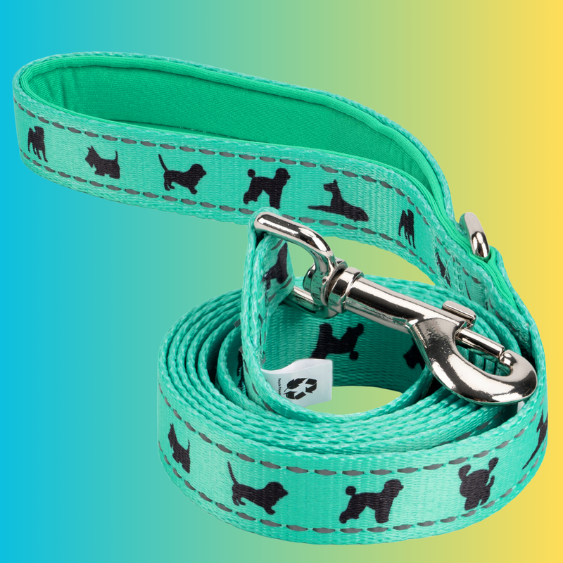 EcoBark Mint Turquoise Dog Leash - Comfort Grip Padded Leash - 4ft, 5ft, and 6ft Dog Leash for Small and Medium Dogs - BIG FRENCHIES