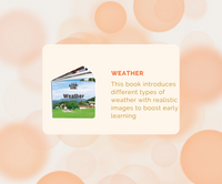 Montessori Educational Box (25-27 Months)