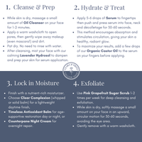 Day & Night Face Moisturizer Duo - BIG FRENCHIES