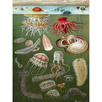 Under the Sea 1000 Piece Jigsaw Puzzle NYPC - BIG FRENCHIES