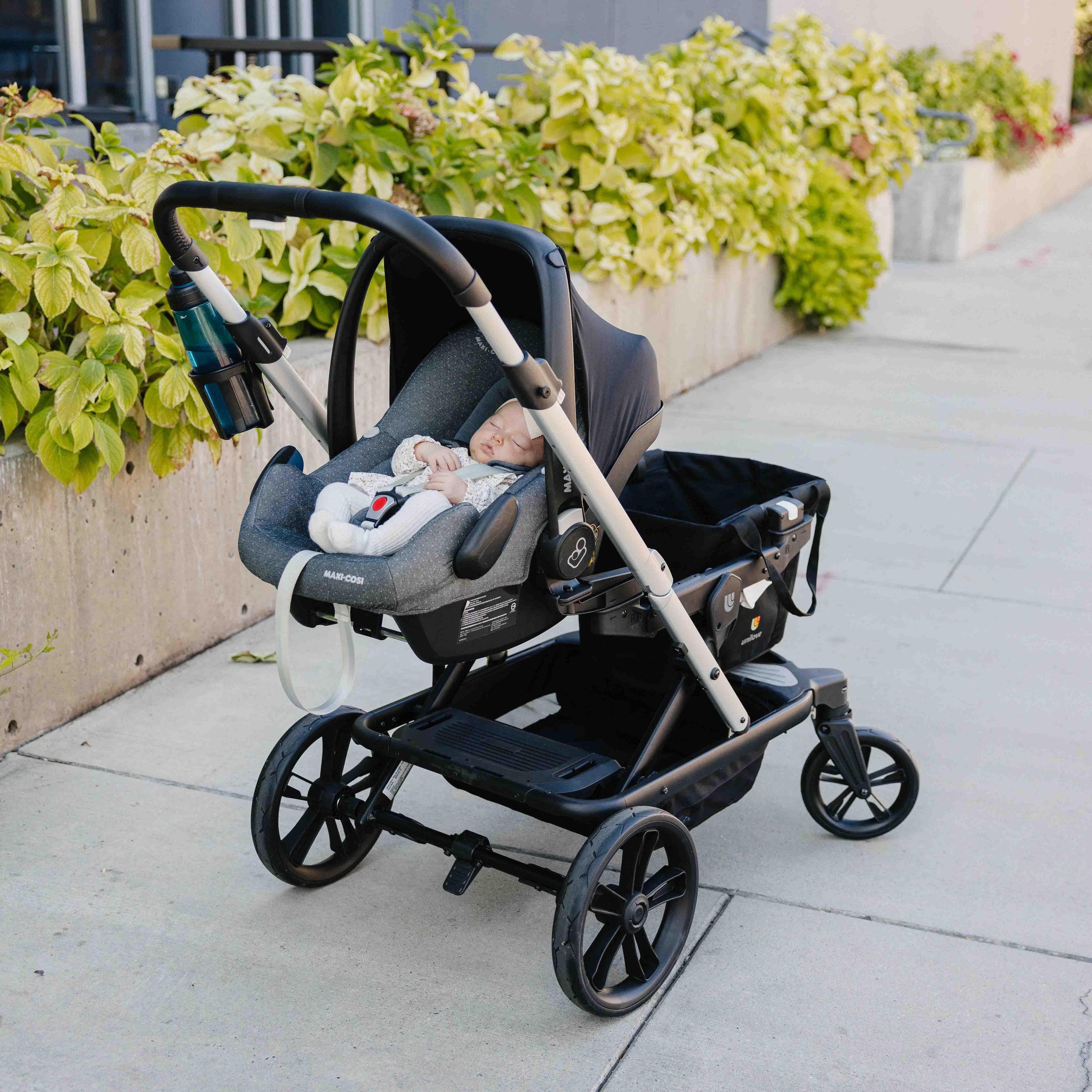 Trio Trolly Car Seat Adapter - BIG FRENCHIES