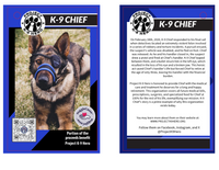 HuggleCause™, Project K-9 Hero, K-9 Chief Knottie® Plush Dog Toy, Large - BIG FRENCHIES