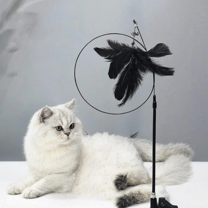 Interactive Cat Teaser Stick with Natural Feathers & Suction Cup - BIG FRENCHIES