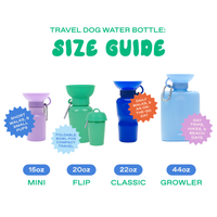 20oz Flip Dog Travel Water Bottle - BIG FRENCHIES