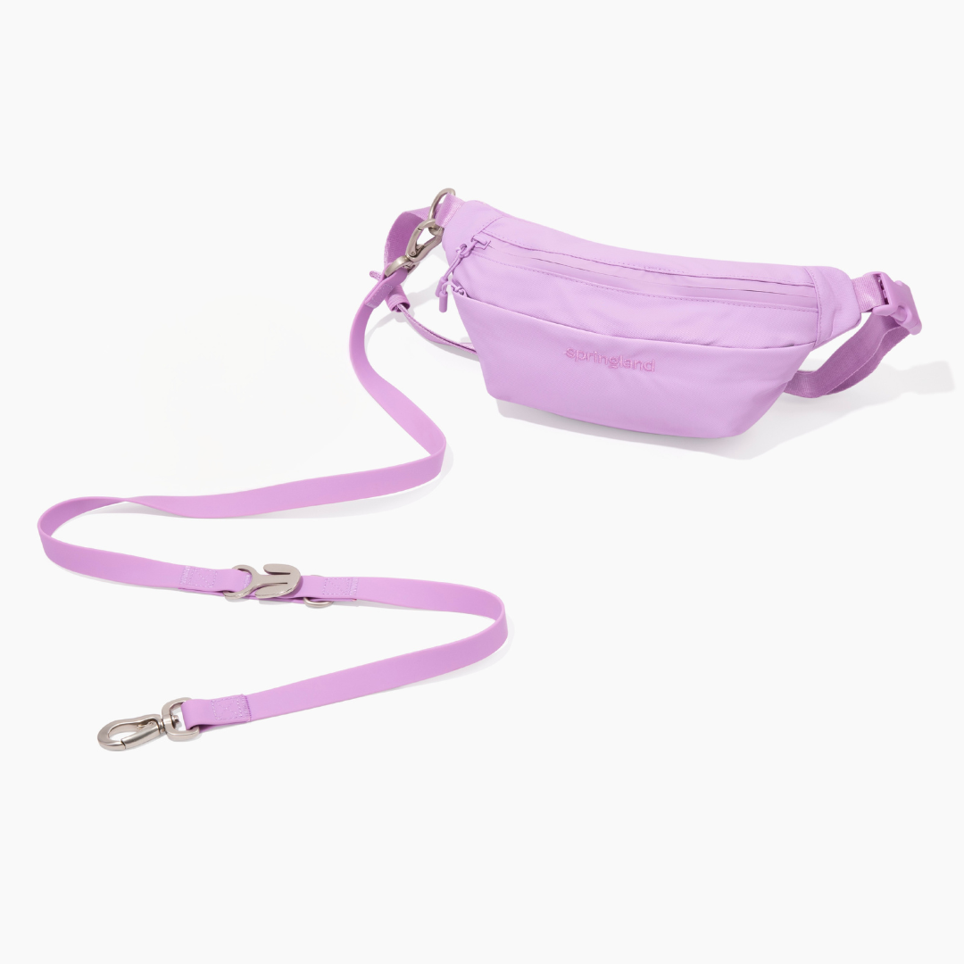 Hands-Free Dog Walking Bag with 4ft Leash - BIG FRENCHIES