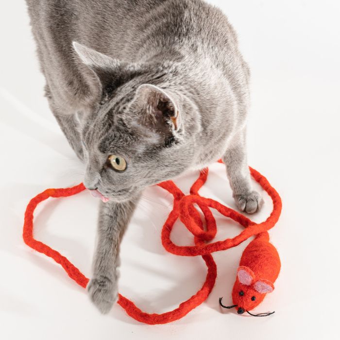 Catch a Mouse by the Tail - Wool Cat Toy