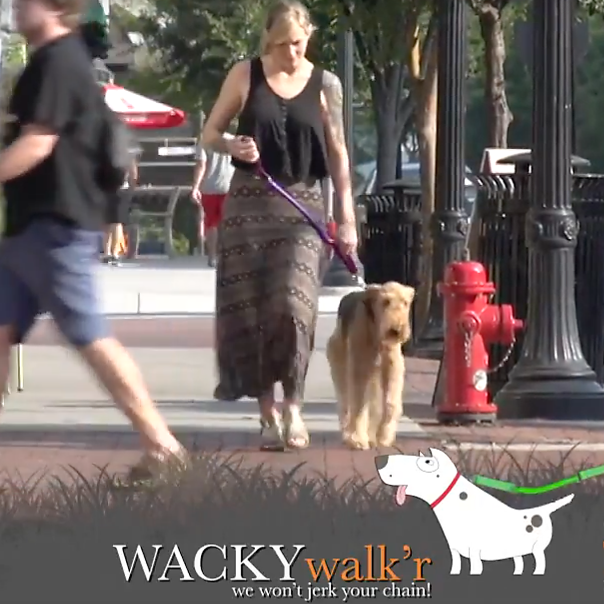 Shorter No Pull Leash - Urban Walk'r-Pet Leashes-BIG FRENCHIES-WACKYstore