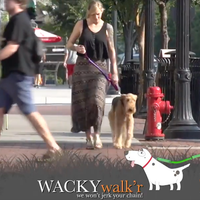 Shorter No Pull Leash - Urban Walk'r