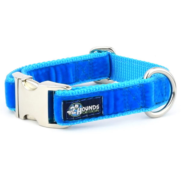 Venetian Blue Velvet Essential Dog Collar-Pet Collars & Leashes-BIG FRENCHIES-2 Hounds Design