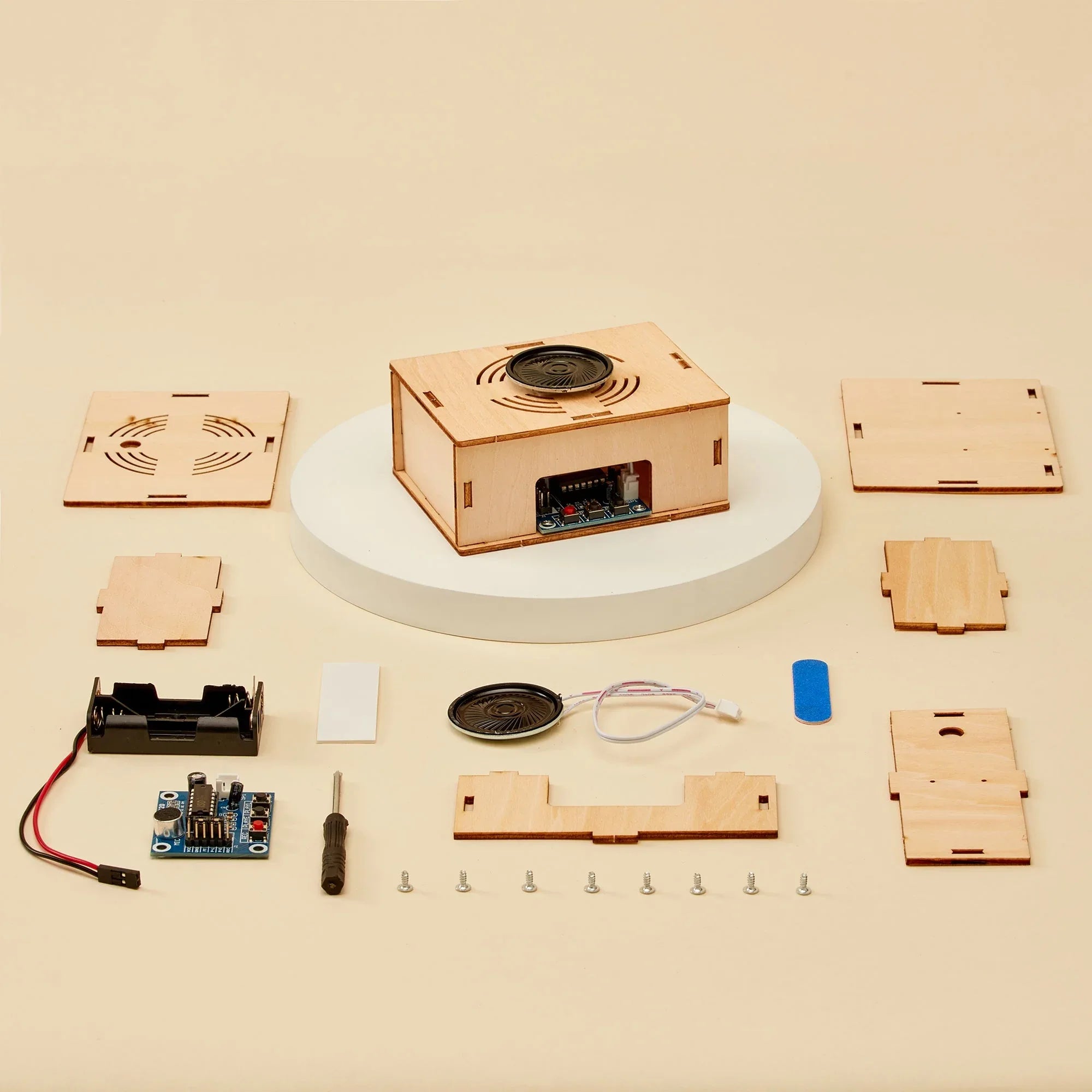 Voice Recorder DIY Kit, Educational STEM Toy - BIG FRENCHIES