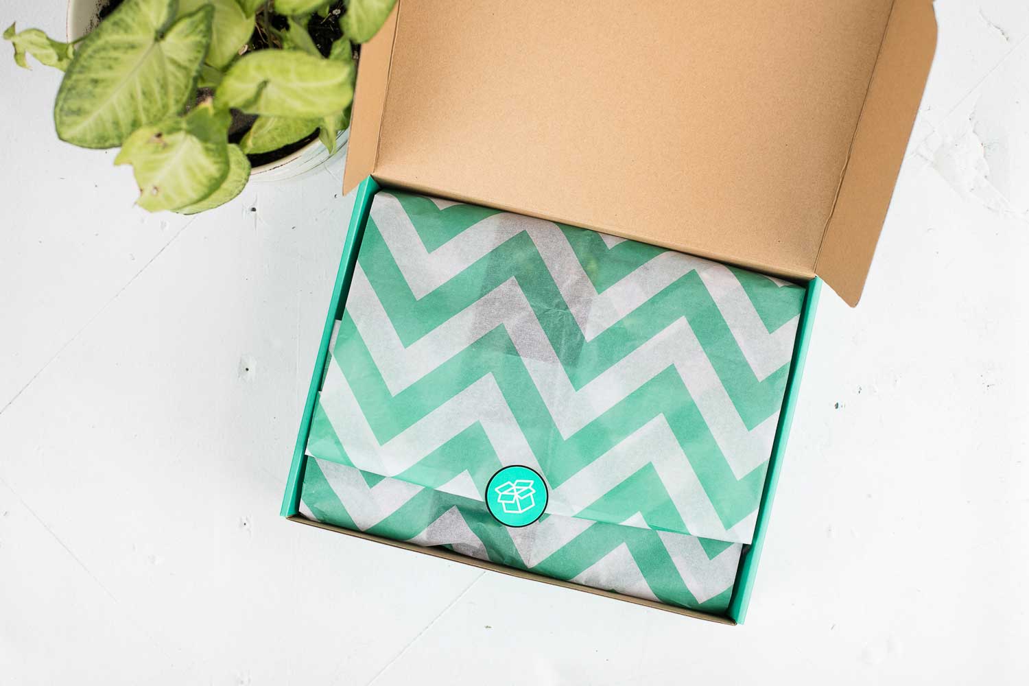 Monthly Snack Box Subscription - BIG FRENCHIES