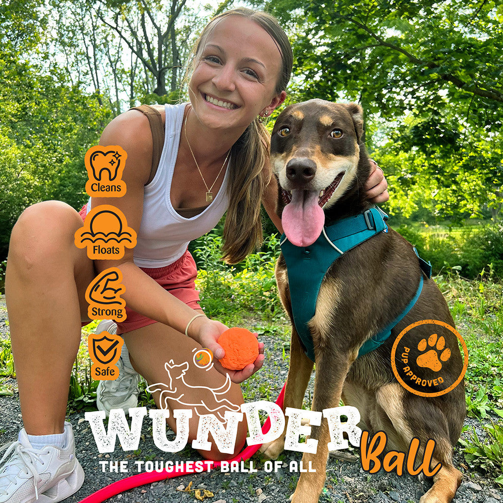 WUNDERball - Best Fetch Toy-Pet Toys-BIG FRENCHIES-WACKYstore