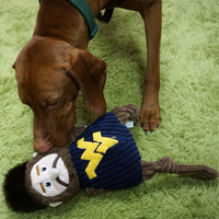 NCAA West Virginia University, Mountaineer Knottie® Plush Dog Toy - BIG FRENCHIES