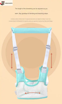 Premium Baby Walking Belt - Safe Learning Support Harness for Toddlers 6-24 Months
