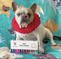 Warren London Dog Nail Polish 6 Pack Bright Colors Long Lasting Coverage