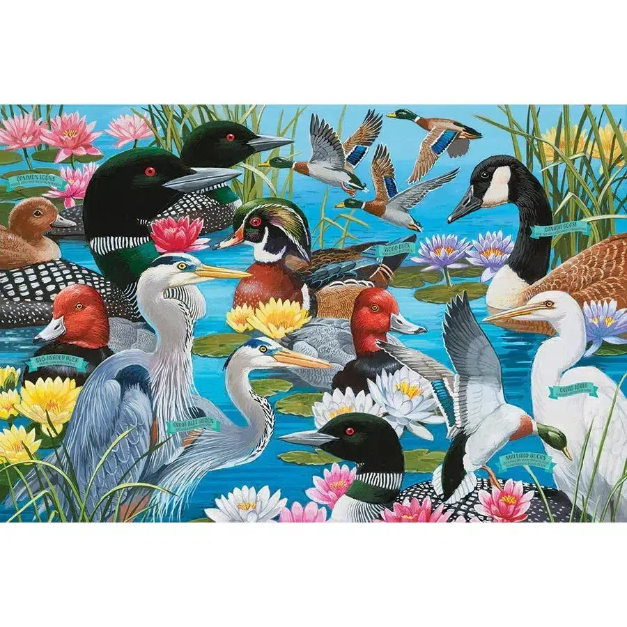 Water Birds 36 Piece Floor Jigsaw Puzzle Cobble Hill - BIG FRENCHIES