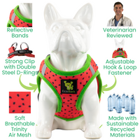 EcoBark Watermelon Step In Dog Harness - Rapid Fastener Reflective Soft Mesh Dog Vest Halter for XXXS to Small Dogs and Puppies - BIG FRENCHIES