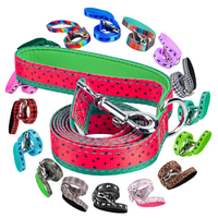 EcoBark Watermelon Dog Leash- Padded Comfort Grip Leash - 4ft, 5ft, and 6ft Leash for Small and Medium Dogs - BIG FRENCHIES