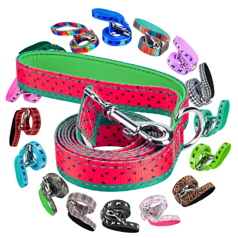 EcoBark Watermelon Dog Leash- Padded Comfort Grip Leash - 4ft, 5ft, and 6ft Leash for Small and Medium Dogs - BIG FRENCHIES