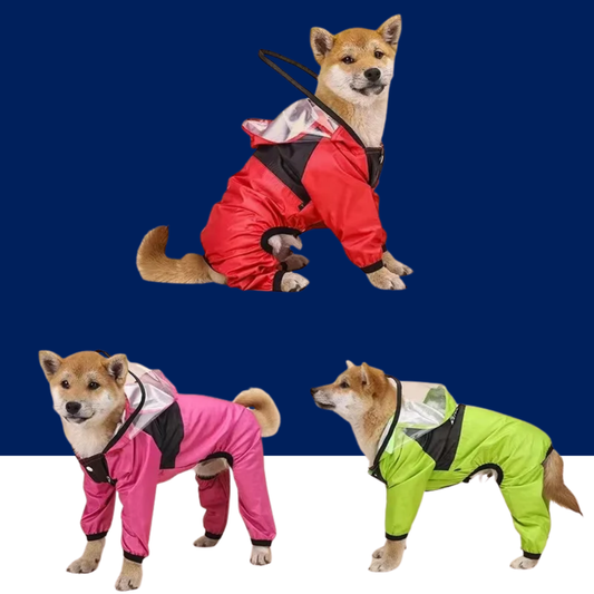 Waterproof Dog Raincoat | Keep Your Pup Dry & Happy in Any Storm - BIG FRENCHIES