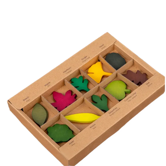 40-Piece Woodland Leaves Wooden Forest Set – Nature-Inspired Loose Parts Play - BIG FRENCHIES