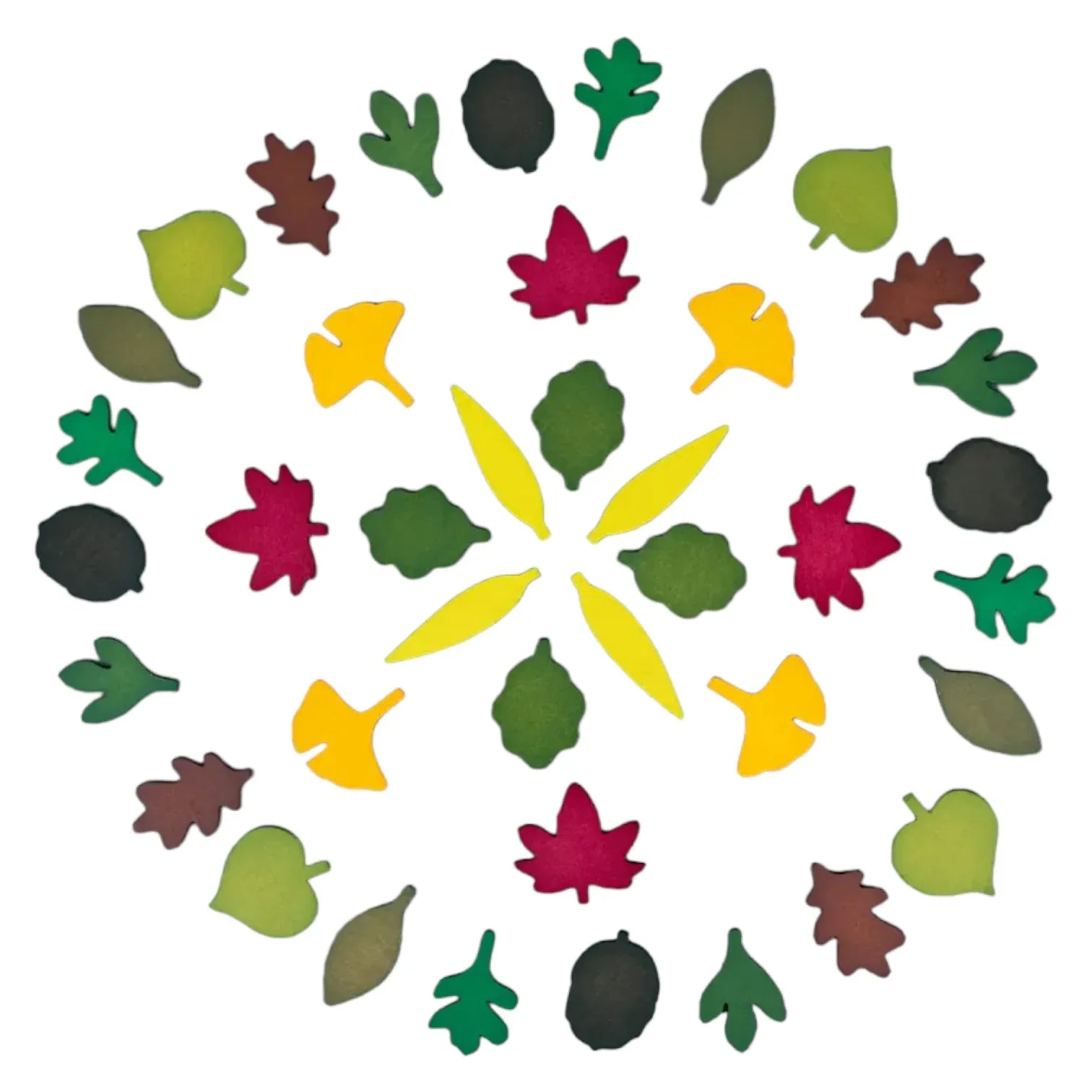 40-Piece Woodland Leaves Wooden Forest Set – Nature-Inspired Loose Parts Play - BIG FRENCHIES