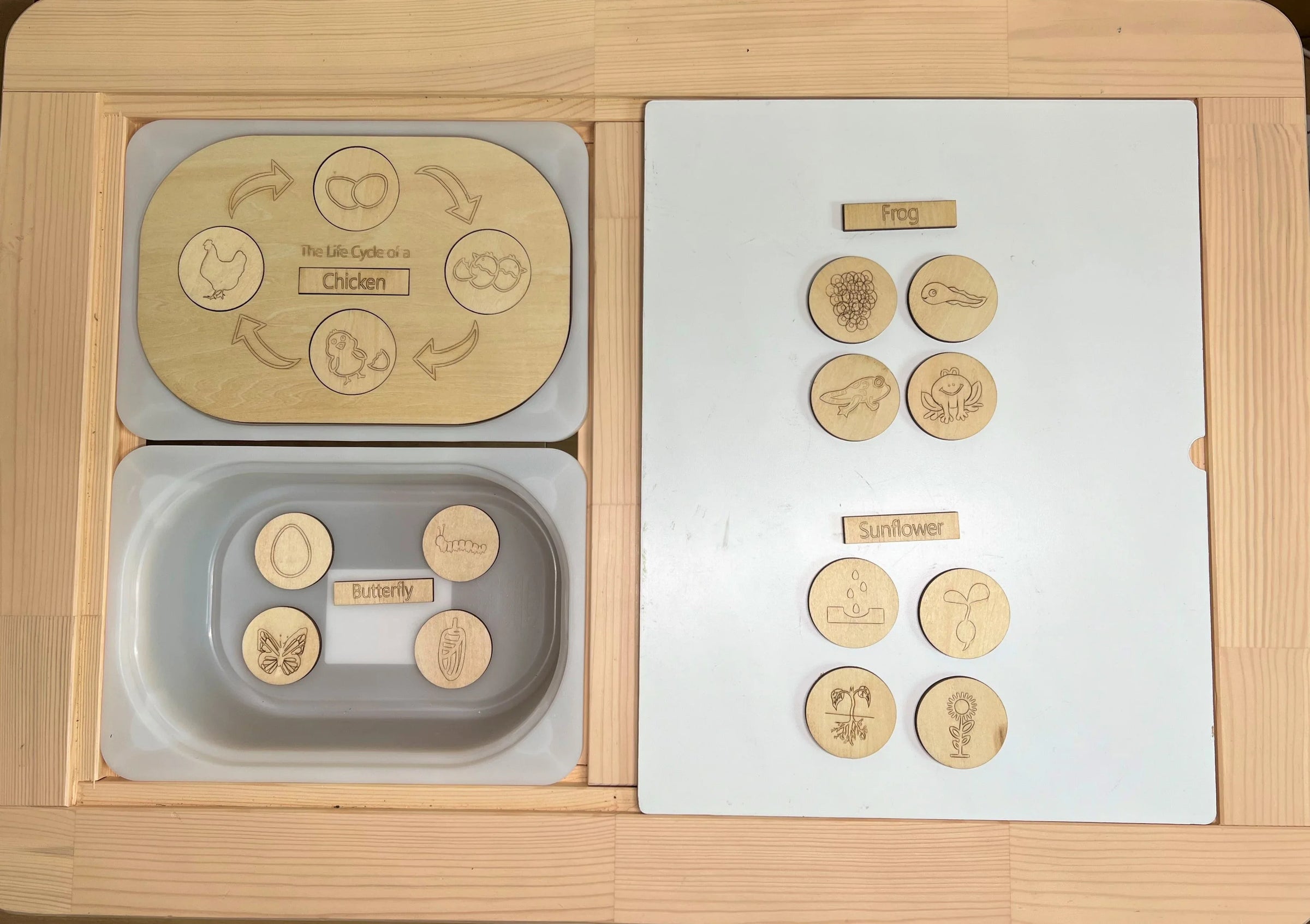 **Pre-order (Ships in 3-4 Weeks)**FLISAT Sensory Bin Insert Activity Board - BIG FRENCHIES
