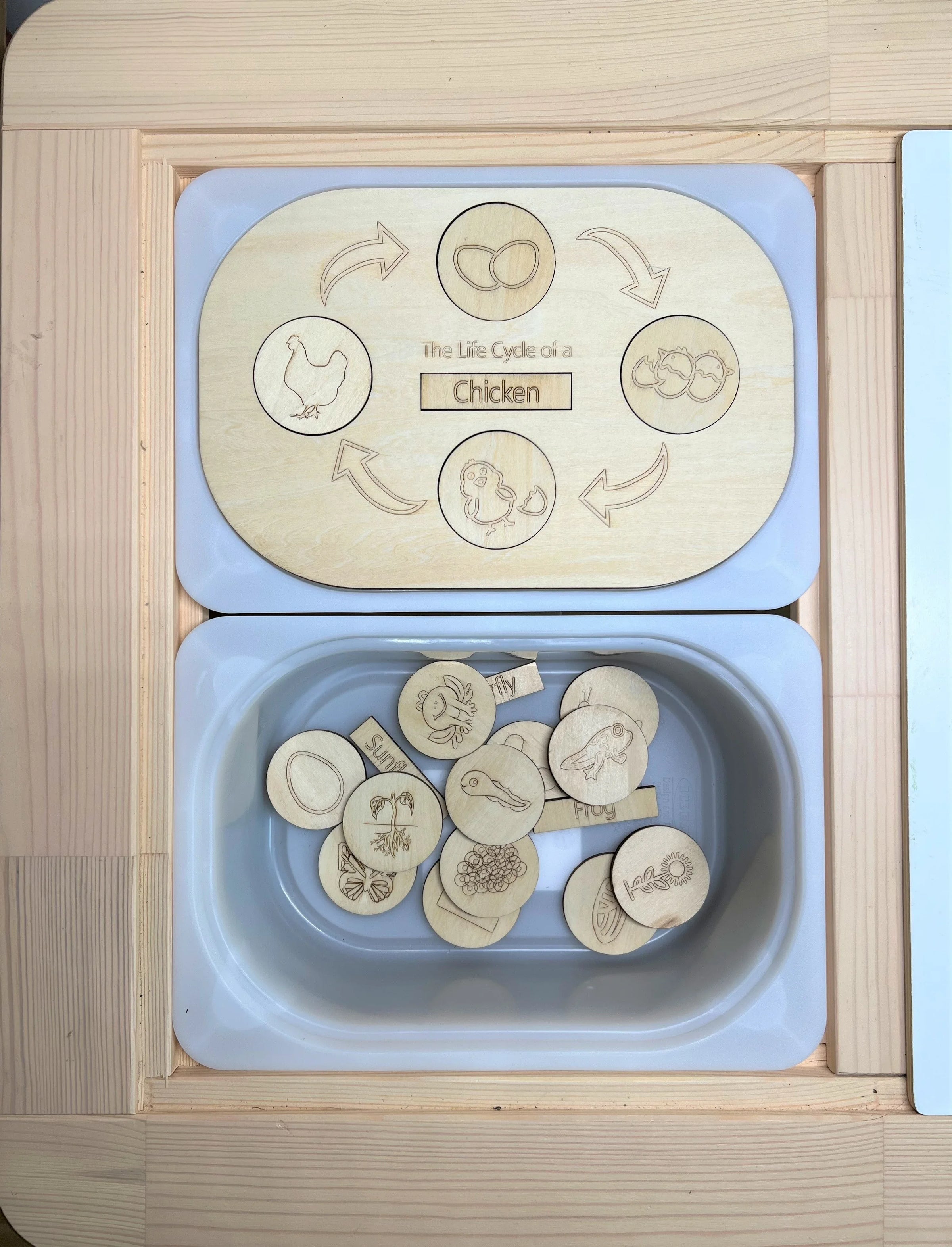 **Pre-order (Ships in 3-4 Weeks)**FLISAT Sensory Bin Insert Activity Board - BIG FRENCHIES