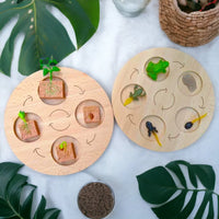 Double-Sided Wooden Life Cycle Board - BIG FRENCHIES