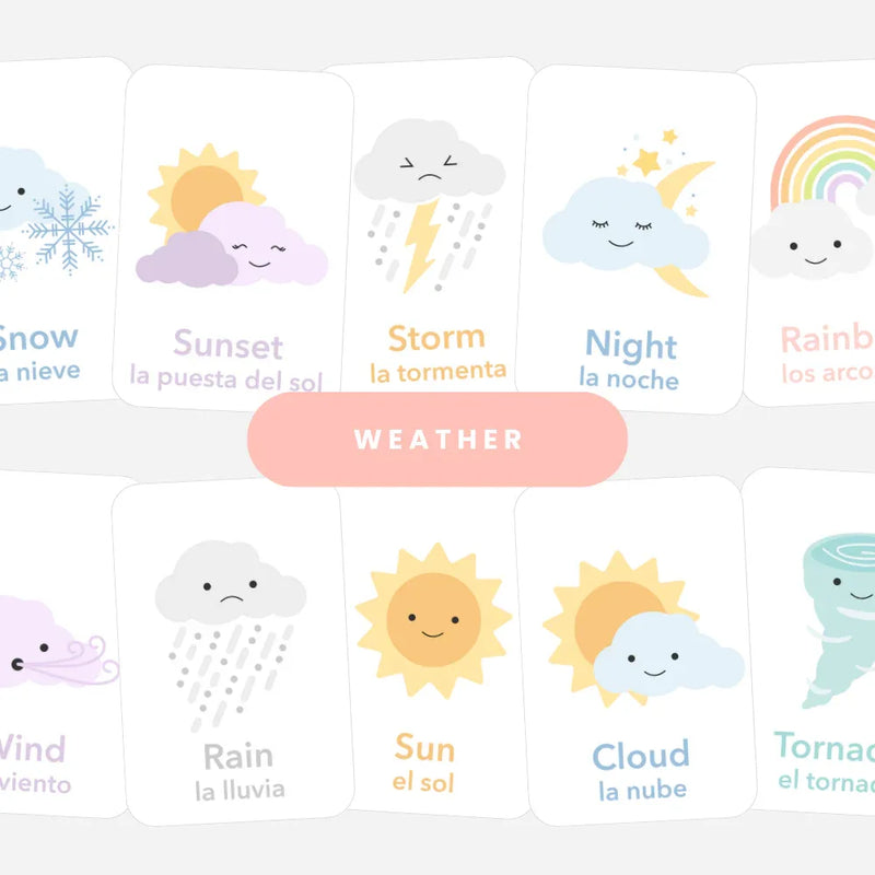 Weather Flashcards - BIG FRENCHIES