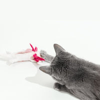A Little 'Lotl - An Axolotl Wool Cat Toy