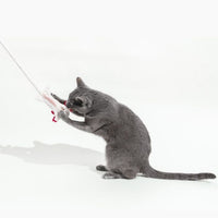 A Little 'Lotl - An Axolotl Wool Cat Toy