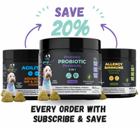 3 in 1 Probiotic Chews for Dogs