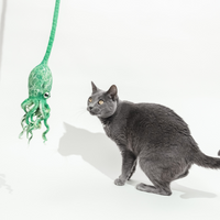 Ink Floyd - A Wool Octopus Toy for Cats