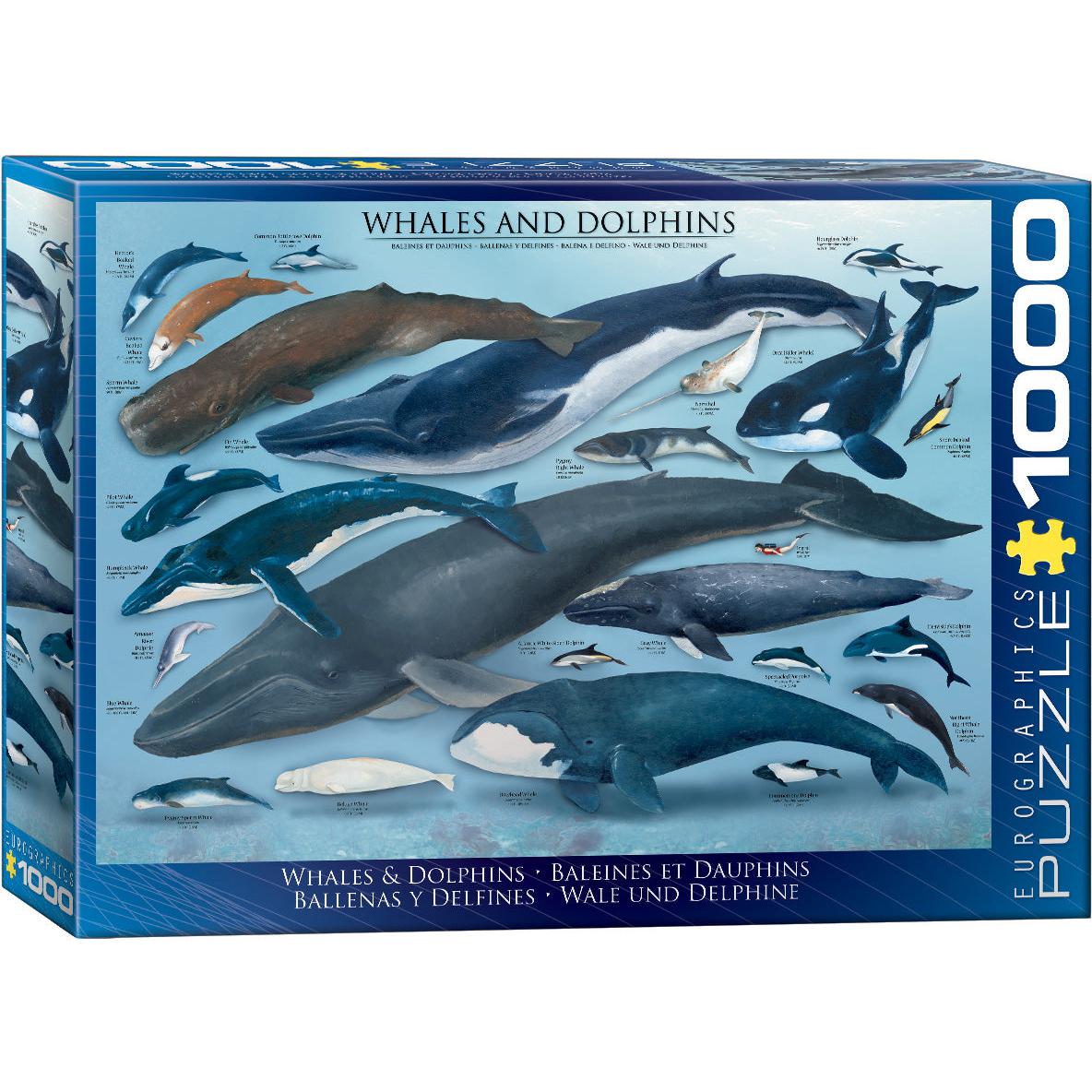 Whales & Dolphins 1000 Piece Jigsaw Puzzle Eurographics