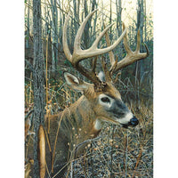 White-Tailed Deer 1000 Piece Jigsaw Puzzle Cobble Hill