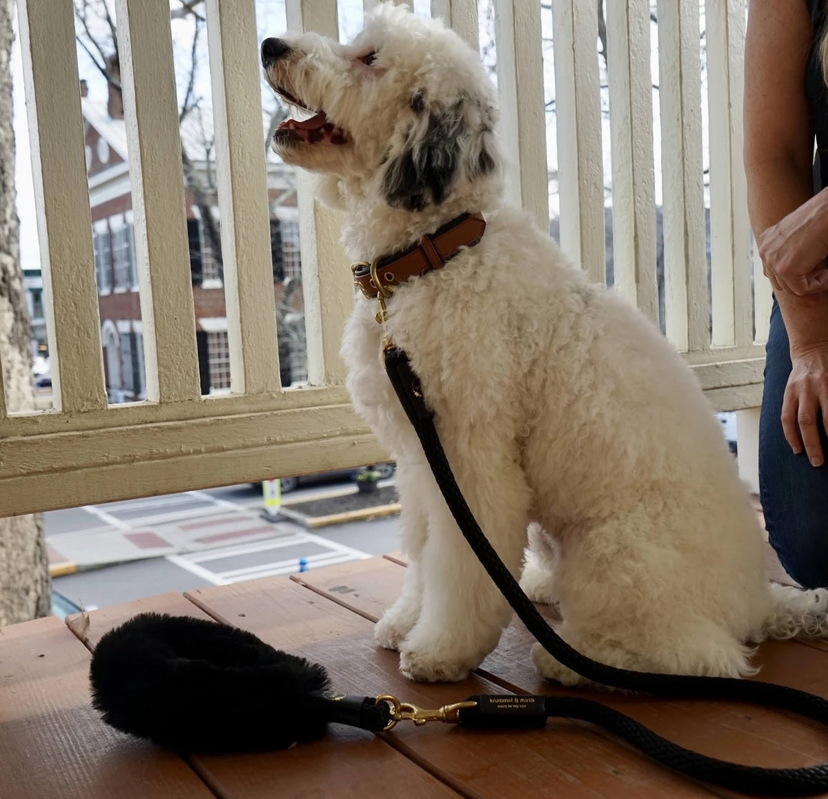 Bundle Shearling Fur Grip + Rope Leash for Dogs - BIG FRENCHIES