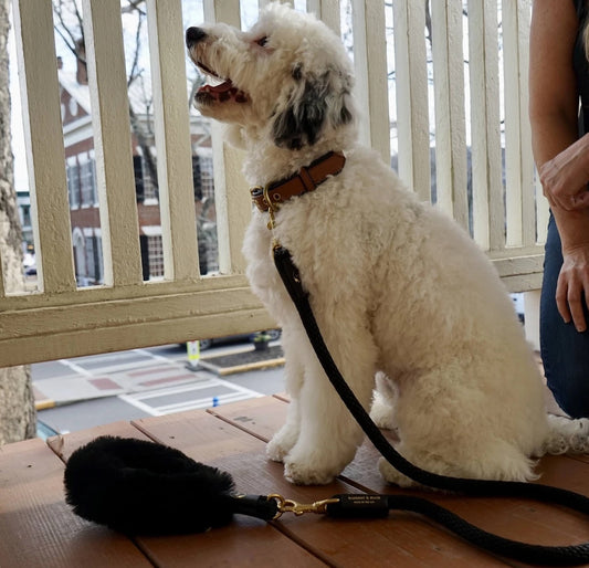 Bundle Shearling Fur Grip + Rope Leash for Dogs - BIG FRENCHIES