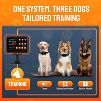 Wireless Dog Fence Radar 3in1 Training No Go Zone Waterproof Collar up to 1 acre