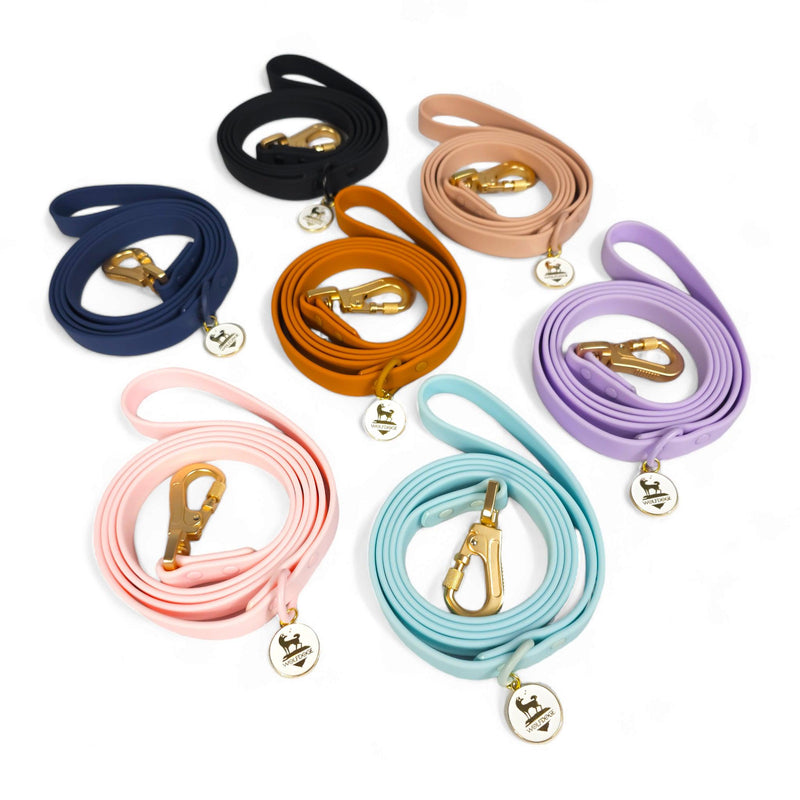 Waterproof Leash-Leashes-BIG FRENCHIES-WOLFDOGE