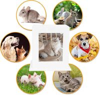 Wooden Pet Memorial Urn with Photo Frame Keepsake Box for Dogs & Cats