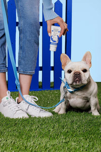 Wrinkle Paste for Dogs - 2oz