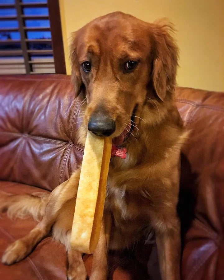 Himalayan Yak Cheese Dog Chews