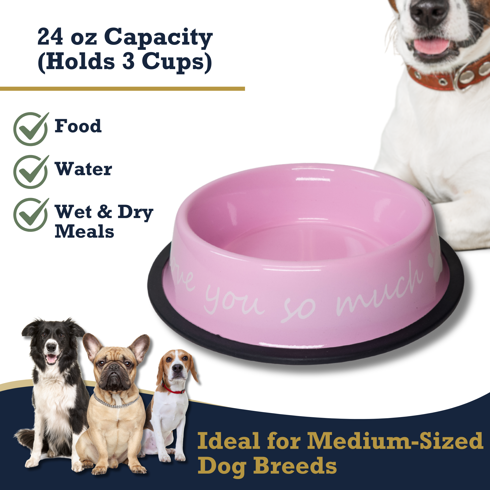 I LOVE YOU SO MUCH Modern Stainless Steel Dog Bowl – 24oz - BIG FRENCHIES