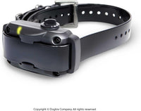 Dogtra YS600 Bark Control Collar for Dogs 35 lbs and Up - Advanced Bark Sensor, 10 Intensity Levels