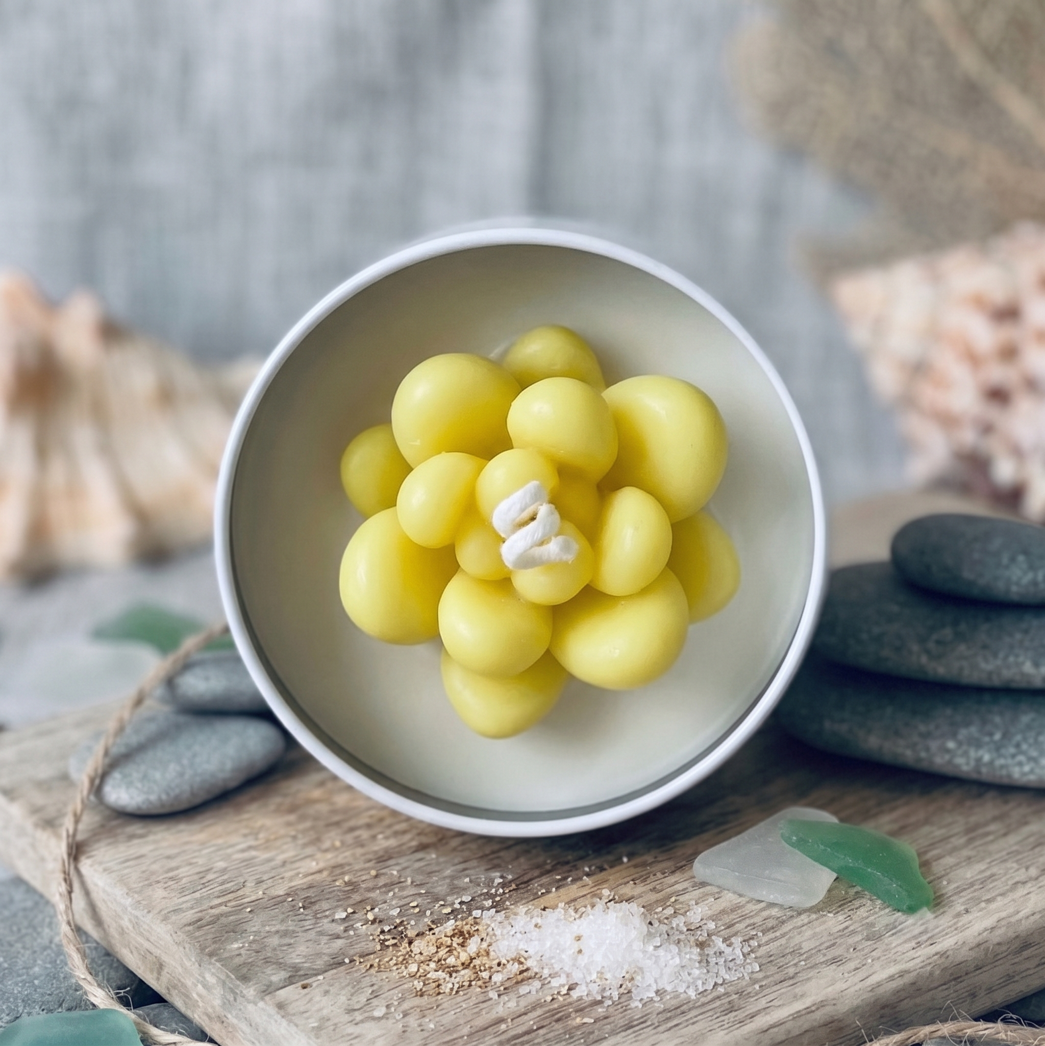 Yellow Pebble Succulent Candle