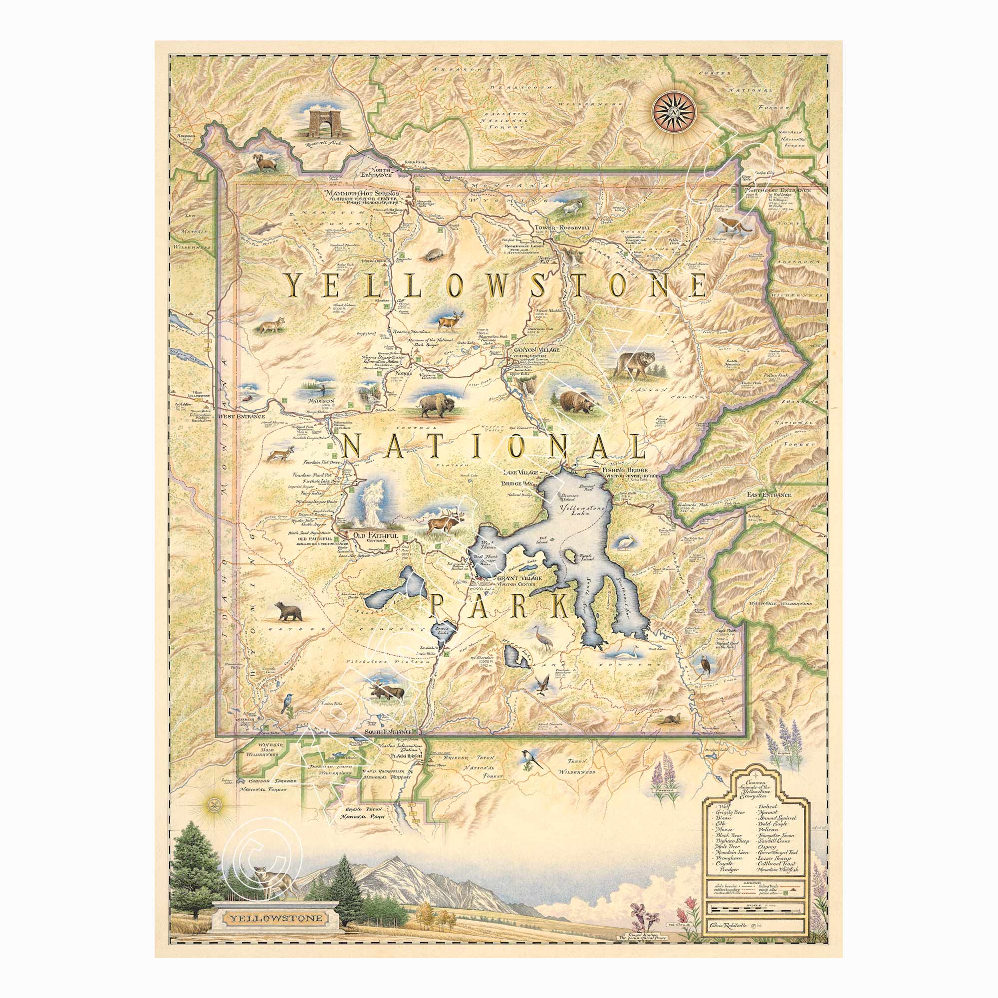 Yellowstone National Park 1000 Piece Jigsaw Puzzle Xplorer Maps